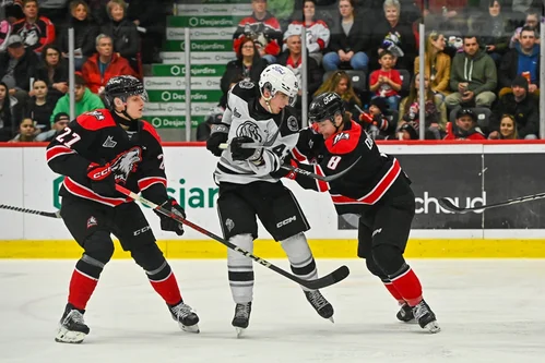 les-olympiques-se-butent-à-un-mur