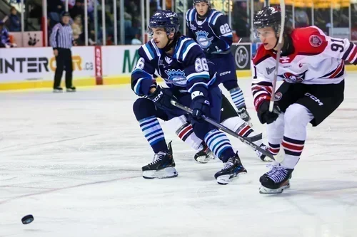 Aucun but pour le match des toutous à Chicoutimi