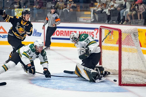 début-de-la-37ième-saison-des-tigres-de-victoriaville