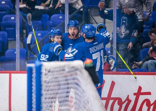 ça-prends-au-moins-2-victoires-aux-lions-en-fin-de-semaines