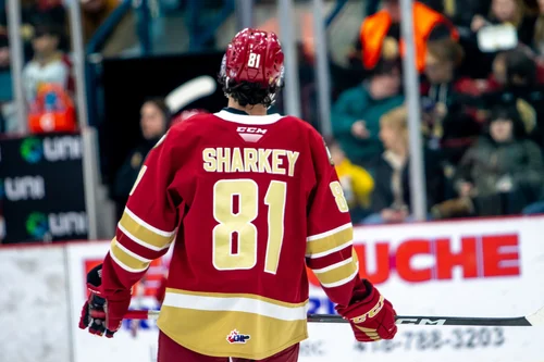 le-saviez-vous-dawson-sharkey-a-déjà-été-un-membre-des-remparts-de-québec