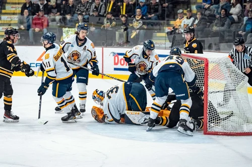 les-tigres-parfait-aux-colisée-desjardins