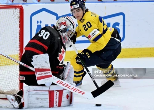 Quelques joueurs à surveiller chez les Mooseheads d'Halifax cette saison