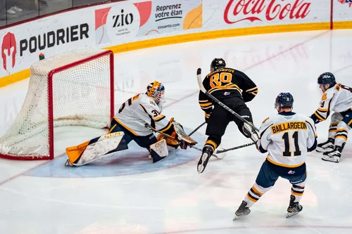 les-tigres-parfait-aux-colisée-desjardins