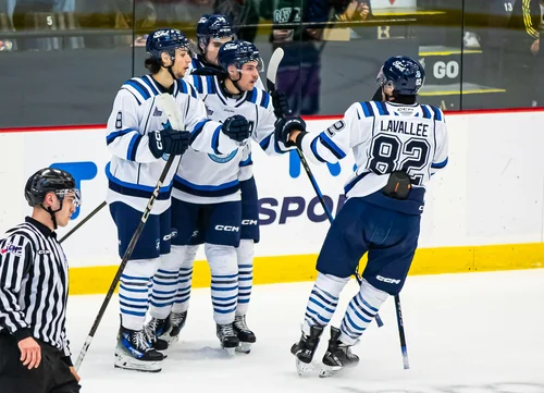 Célébration du but par les joueurs des Saguenéens&nbsp;