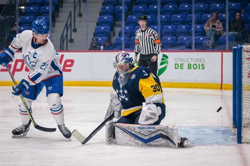 match-1-de-la-série-lions-admirals