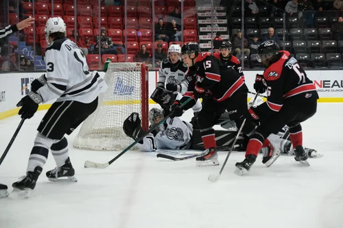 Les Olympiques de Gatineau bien que dernier au classement général ont donné du fil à retordre à la meute.