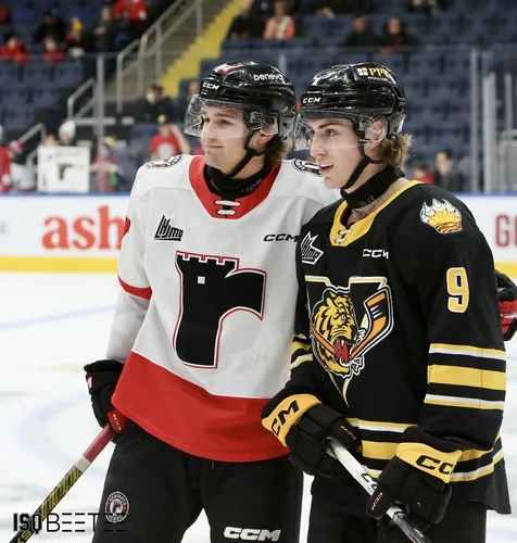 les-tigres-ont-raison-des-remparts