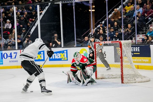 dans-la-flamme-des-olympiques-semaine-23