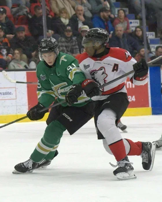 Les Foreurs subissent la défaite à Rouyn-Noranda