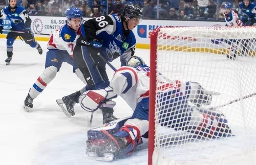 Une entrée en matière réussie pour Les Wildcats