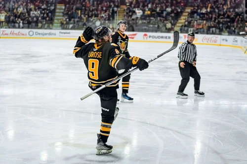 les-tigres-parfait-aux-colisée-desjardins