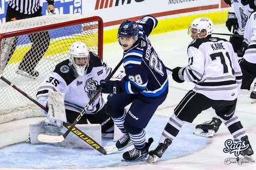 Bataille de Vermette et Kaine devant le filet