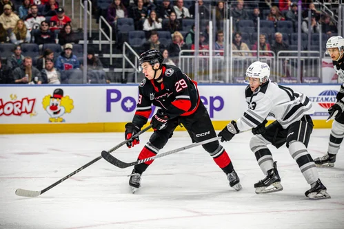 📸 Jonathan Roy/ Remparts de Québec&nbsp;